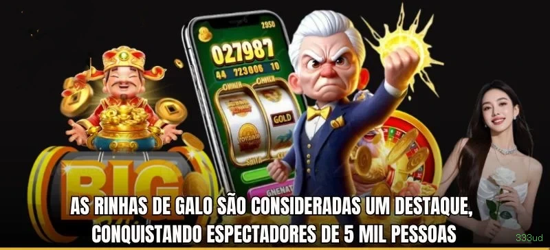 333ud App Versões